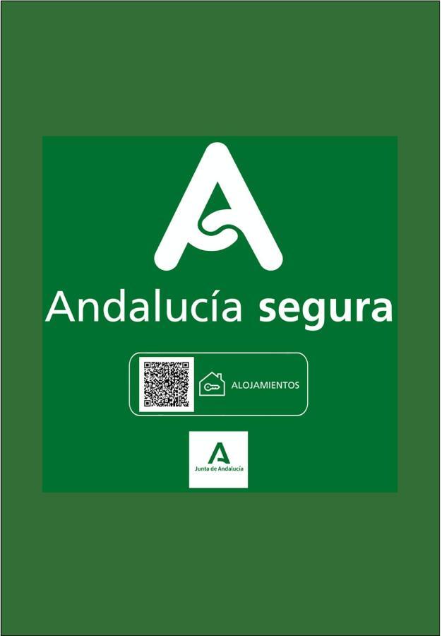 Holidays2Malaga Heredia 3 Bedroom Opposite Malaga Port Exteriér fotografie